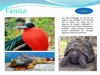  Las Islas Galápagos es uno de los
lugares más notables en el mundo
por su fauna. Así como las 26
especies de pájaro endémicos y
colonias de ave marina asombrosas,
también tienen muchas criaturas
únicas, incluyendo las tortugas
gigantes e iguanas marítimas.
menú
 
