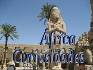 África Curiosidades 