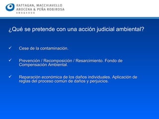 Cese de la contaminación. Prevención / Recomposición / Resarcimiento. Fondo de Compensación Ambiental. Reparación económica de los daños individuales. Aplicación de reglas del proceso común de daños y perjuicios. ¿Qué se pretende con una acción judicial ambiental? 
