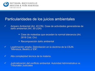 Amparo Ambiental (Art. 43 CN). Cese de actividades generadoras de daño ambiental (Art. 30 LGA)  Cese de molestias que exceden la normal tolerancia (Art. 2618 Cód. Civ) Recomposición daño ambiental Legitimación amplia. Delimitación en la doctrina de la CSJN. “Mendoza, Beatriz c/ EN”. Alta complejidad técnica de la materia. Judicialización del conflicto ambiental. Autoridad Administrativa vs. Tribunales Judiciales   Particularidades de los juicios ambientales 