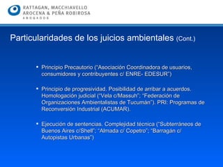 Principio Precautorio (“Asociación Coordinadora de usuarios, consumidores y contribuyentes c/ ENRE- EDESUR”) Principio de progresividad. Posibilidad de arribar a acuerdos. Homologación judicial (“Vela c/Massuh”; “Federación de Organizaciones Ambientalistas de Tucumán”). PRI: Programas de Reconversión Industrial (ACUMAR). Ejecución de sentencias. Complejidad técnica (“Subterráneos de Buenos Aires c/Shell”; “Almada c/ Copetro”; “Barragán c/ Autopistas Urbanas”) Particularidades de los juicios ambientales  (Cont.) 