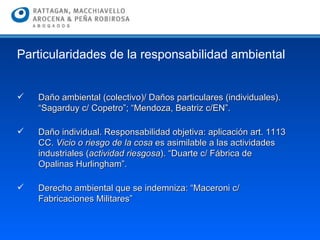 Daño ambiental (colectivo)/ Daños particulares (individuales). “Sagarduy c/ Copetro”; “Mendoza, Beatriz c/EN”.  Daño individual. Responsabilidad objetiva: aplicación art. 1113 CC.  Vicio o riesgo de la cosa  es asimilable a las actividades industriales ( actividad riesgosa ). “Duarte c/ Fábrica de Opalinas Hurlingham”. Derecho ambiental que se indemniza: “Maceroni c/ Fabricaciones Militares” Particularidades de la responsabilidad ambiental 