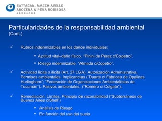 Rubros indemnizables en los daños individuales:  Aptitud vital–daño físico. “Pinini de Pérez c/Copetro”. Riesgo indemnizable. “Almada c/Copetro”. Actividad lícita o ilícita (Art. 27 LGA). Autorización Administrativa. Permisos ambientales. Implicancias (“Duarte c/ Fábricas de Opalinas Hurlingham”; “Federación de Organizaciones Ambientalistas de Tucumán”). Pasivos ambientales. (“Romero c/ Colgate”).  Remediación. Límites. Principio de razonabilidad (“Subterráneos de Buenos Aires c/Shell”) Análisis de Riesgo En función del uso del suelo Particularidades de la responsabilidad ambiental  (Cont.) 