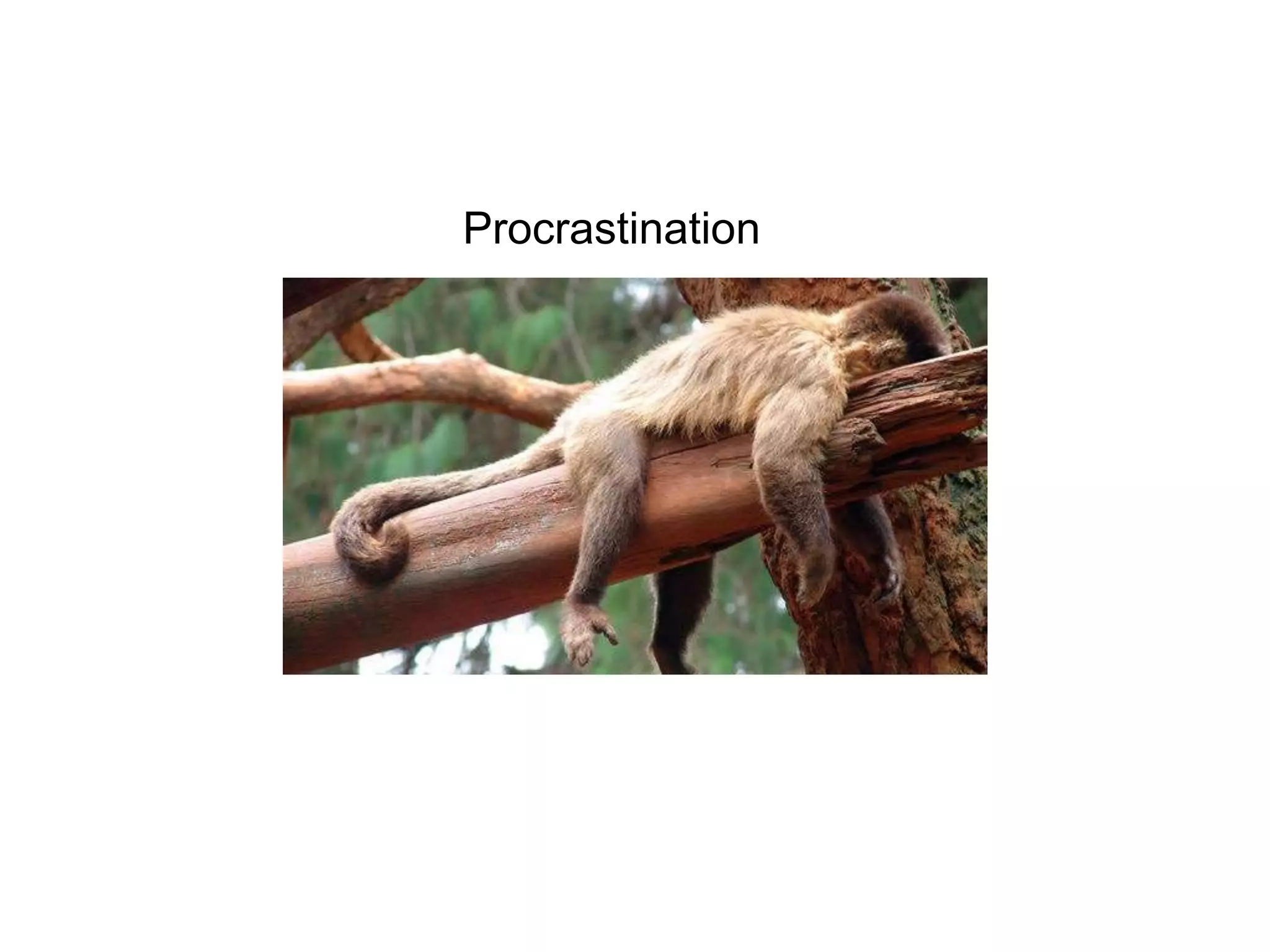 Procrastination
 