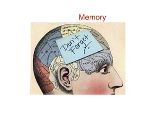 Memory
 