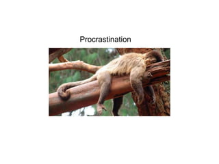 Procrastination
 