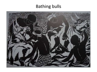 Bathing bulls
 