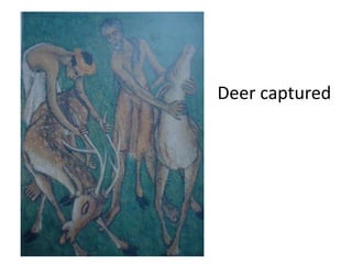Deer captured
 