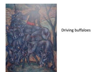 Driving buffaloes
 