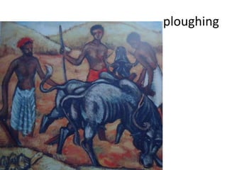 ploughing
 