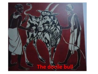 The docile bull
 