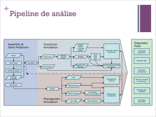 +
Pipeline de análise
 