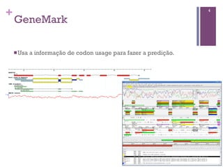 +
GeneMark
4
nUsa a informação de codon usage para fazer a predição.
 