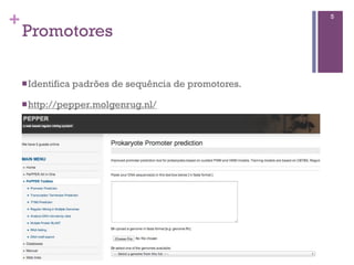 +
Promotores
nIdentifica padrões de sequência de promotores.
nhttp://pepper.molgenrug.nl/
5
 