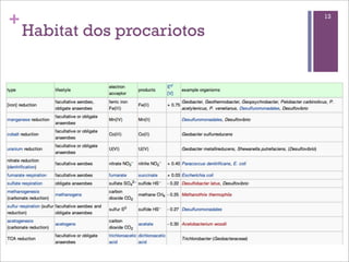 +                             13

    Habitat dos procariotos
 