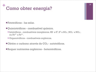 +                                                                                  14

    Como obter energia?

    n Fototróficos    - luz solar.

    n Quimiotróficos     - combustível químico.
     n Litotróficos
                   - combustíveis inorgânicos. HS- a S0, S0 a SO4-, NO2- a NO3-,
       ou Fe2+ a Fe3+.
     n Organotróficos    - combustíveis orgânicos.

    n Obtém    o carbono através do CO2 - autotróficos.

    n Requer   nutrientes orgânicos - heterotróficos.
 