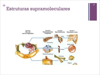 +                                 17

    Estruturas supramoleculares
 