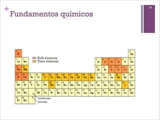 +                          19

    Fundamentos químicos
 