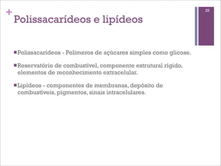 +                                                                        25

    Polissacarídeos e lipídeos

    n Polissacarídeos   - Polímeros de açúcares simples como glicose.

    n Reservatório
                 de combustível, componente estrutural rígido,
     elementos de reconhecimento extracelular.

    n Lipídeos
             - componentes de membranas, depósito de
     combustíveis, pigmentos, sinais intracelulares.
 