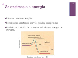 +                                                                    33

    As enzimas e a energia

    n Enzimas   catalizam reações.

    n Permite   que aconteçam em velocidades apropriadas.

    n Estabilizam   o estado de transição, reduzindo a energia de
     ativação.
 
