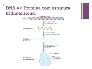 +                                   35

    DNA => Proteína com estrutura
    tridimensional
 
