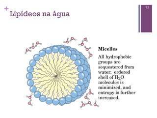 +                      12

    Lipídeos na água
 