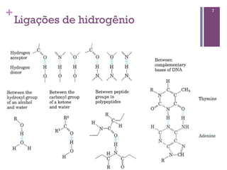 +                            7

    Ligações de hidrogênio
 