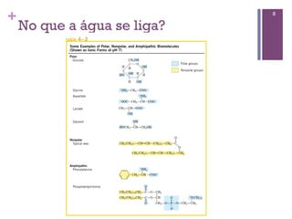 +                            8

    No que a água se liga?
 