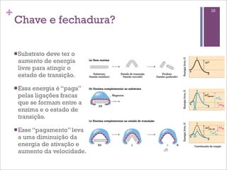 +                              10

    Chave e fechadura?

    n Substratodeve ter o
     aumento de energia
     livre para atingir o
     estado de transição.

    n Essa
          energia é “paga”
     pelas ligações fracas
     que se formam entre a
     enzima e o estado de
     transição.

    n Esse “pagamento” leva
     a uma diminuição da
     energia de ativação e
     aumento da velocidade.
 