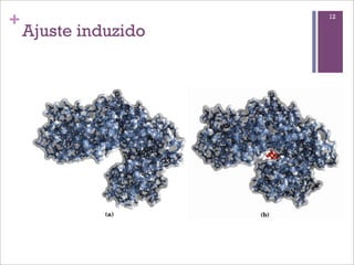 +                     12

    Ajuste induzido
 