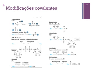 +                             22

    Modificações covalentes
 