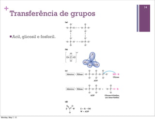 +                                        14

         Transferência de grupos

         n Acil, glicosil   e fosforil.




Monday, May 7, 12
 
