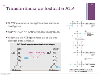 +                                                      17

         Transferência de fosforil e ATP

         n O ATP é a moeda energética dos sistemas
            biológicos.

         n ATP     => ADP => AMP é reação exergônica.

         n Hidrólisedo ATP gera mais calor do que
            energia para a célula.




Monday, May 7, 12
 