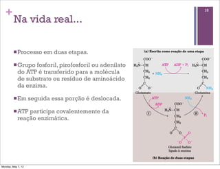 +                                                      18

         Na vida real...

         n Processo     em duas etapas.

         n Grupo  fosforil, pirofosforil ou adenilato
            do ATP é transferido para a molécula
            de substrato ou resíduo de aminoácido
            da enzima.

         n Em      seguida essa porção é deslocada.

         n ATP participa covalentemente da
            reação enzimática.




Monday, May 7, 12
 