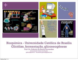+




            Bioquímica - Universidade Católica de Brasília
               Glicólise, fermentação, gliconeogênese
                        Prof. Dr. Gabriel da Rocha Fernandes
                                 Universidade Católica de Brasília
                         gabrielf@ucb.br - fernandes.gabriel@gmail.com




Monday, May 7, 12
 