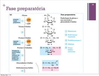 +                          29

         Fase preparatória




Monday, May 7, 12
 
