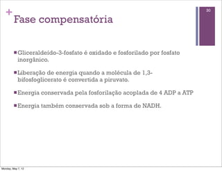 +                                                                          30

         Fase compensatória

         n Gliceraldeído-3-fosfato   é oxidado e fosforilado por fosfato
            inorgânico.

         n Liberação  de energia quando a molécula de 1,3-
            bifosfoglicerato é convertida a piruvato.

         n Energia   conservada pela fosforilação acoplada de 4 ADP a ATP

         n Energia   também conservada sob a forma de NADH.




Monday, May 7, 12
 