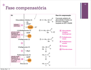 +                           31

         Fase compensatória




Monday, May 7, 12
 