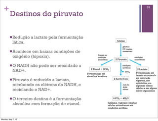 +                                                 33

         Destinos do piruvato

         n Redução    a lactato pela fermentação
            lática.

         n Acontece  em baixas condições de
            oxigênio (hipoxia).

         n ONADH não pode ser reoxidado a
            NAD+.

         n Piruvato é reduzido a lactato,
            recebendo os elétrons do NADH, e
            reciclando o NAD+.

         n O terceiro destino é a fermentação
            alcoolica com formação de etanol.


Monday, May 7, 12
 
