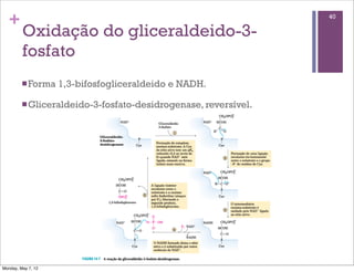 +                                                              40

         Oxidação do gliceraldeido-3-
         fosfato
         n Forma   1,3-bifosfogliceraldeido e NADH.

         n Gliceraldeido-3-fosfato-desidrogenase, reversível.




Monday, May 7, 12
 