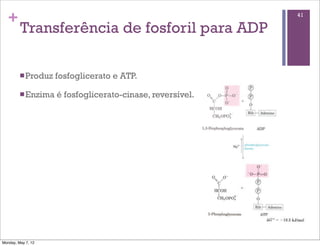 +                                                         41

         Transferência de fosforil para ADP

         n Produz   fosfoglicerato e ATP.

         n Enzima   é fosfoglicerato-cinase, reversível.




Monday, May 7, 12
 