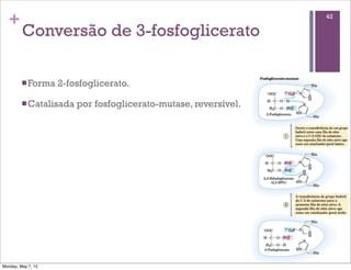 +                                                               42

         Conversão de 3-fosfoglicerato

         n Forma   2-fosfoglicerato.

         n Catalisada   por fosfoglicerato-mutase, reversível.




Monday, May 7, 12
 