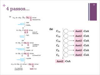 +                 10

    4 passos...
 