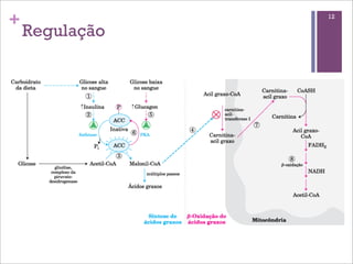 +               12

    Regulação
 