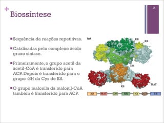 +                                            14

    Biossíntese

    n Sequência   de reações repetitivas.

    n Catalisadas
                 pelo complexo ácido
     graxo sintase.

    n Primeiramente, ogrupo acetil da
     acetil-CoA é transferido para
     ACP. Depois é transferido para o
     grupo -SH da Cys de KS.

    n O
       grupo malonila da malonil-CoA
     também é transferido para ACP.
 