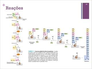 +             15

    Reações
 