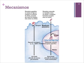 +                19

    Mecanismos
 