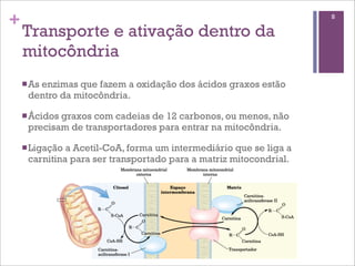 +                                                                  8

    Transporte e ativação dentro da
    mitocôndria
    n As
       enzimas que fazem a oxidação dos ácidos graxos estão
     dentro da mitocôndria.

    n Ácidos
            graxos com cadeias de 12 carbonos, ou menos, não
     precisam de transportadores para entrar na mitocôndria.

    n Ligaçãoa Acetil-CoA, forma um intermediário que se liga a
     carnitina para ser transportado para a matriz mitocondrial.
 