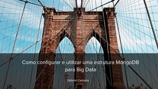 Gabriel Campos
Como configurar e utilizar uma estrutura MongoDB
para Big Data
 