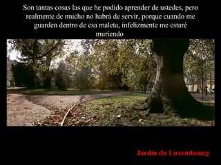 Son tantas cosas las que he podido aprender de ustedes, pero realmente de mucho no habrá de servir, porque cuando me guarden dentro de esa maleta, infelizmente me estaré muriendo . Jardin du Luxembourg 